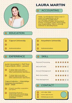 Business Resume Accounting