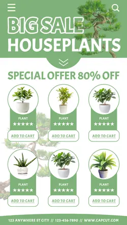 Household Accessories Houseplants Sale Promotion Instagram Story