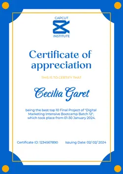 Certificate Bootcamp Digital Marketing Award