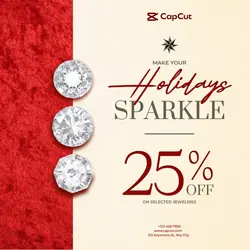 Holiday Sale