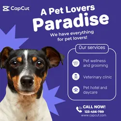Pets - Pet Care Services