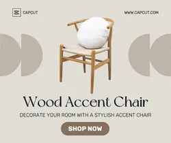 Furniture - Accent Chair - Facebook Ad