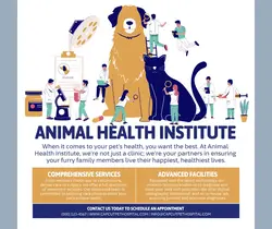 Pet Hospital Information & Promotion