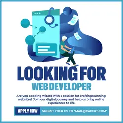 Looking for Web Developer Instagram Post