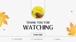 Non-marketing Youtube Endscreen Minimalist Thanks for Watching