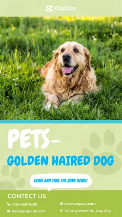 Pets share show simple style