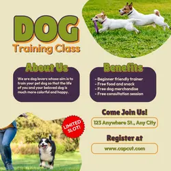 Dog Training Class Instagram Post