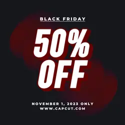 Black Friday Sale