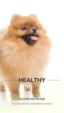 Pet industry Sales Promotion