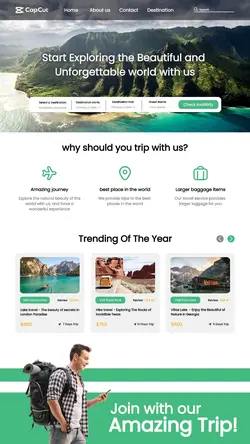 Amazing Trip Promotion Page