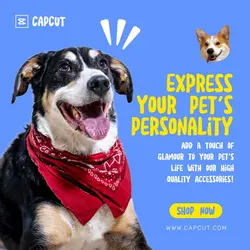 Pet Accessories Promotion Instagram Post
