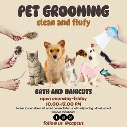 pet grooming instagram post