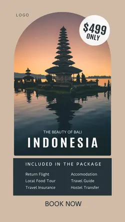 Travel Agency Promotion Instagram Story