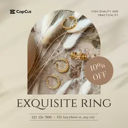 Jewelry & Accessories exquisite rings display 
