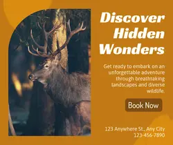 Travel industry General