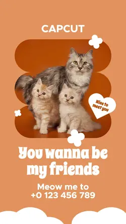 Orange Pet Open Adopt Instagram Story