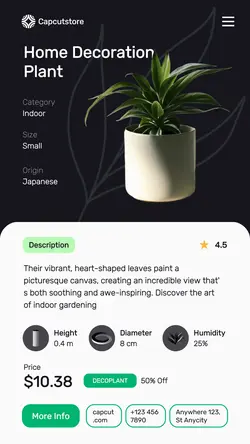 Decoration Plant Product Promotion Instagram Story