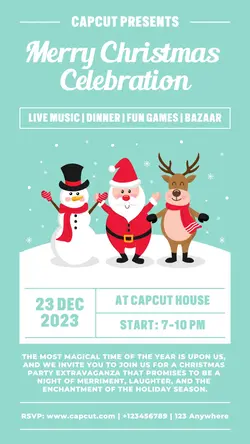 Christmas Celebration Poster Promotion TikTok Post