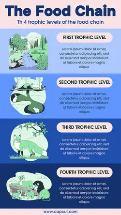 Food Chain Infographic