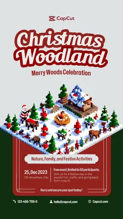 Christmas Festival Promotion Tiktok 