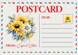 Non-marketing Postcard Cream Yellow Sunflowers Minimalist