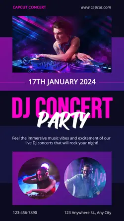 DJ Concert Instagram Story