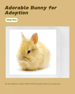 Pet industry General