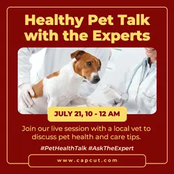 Red Yellow Modern Healthy Pet Talk Instagram Post