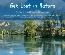 Travel industry General