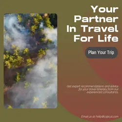 Travel industry Social Cards