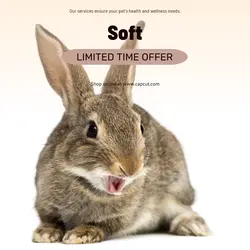 Pet industry Sales Promotion