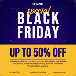 Black Friday Promotion