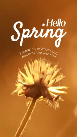 January Track Hello Spring Instagram Story