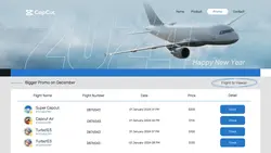 New Year Flight Promo