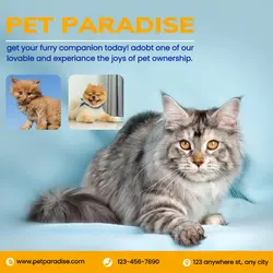 pet shop pet display for instagram post