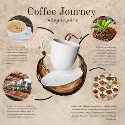 Infographic Instagram Post Coffee Journey