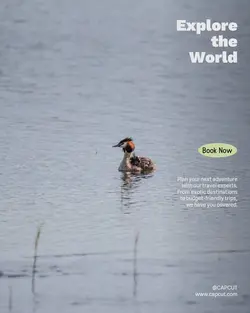 Travel industry General