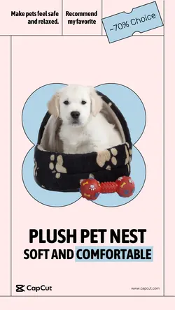 Life Service Pet Nest Sharing Minimalism