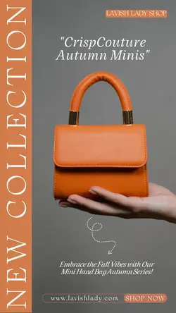 Fashion Mini Handbag Sale Instagram Story