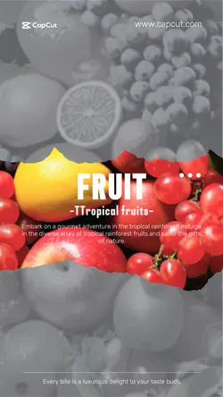 Services Fruit Display Minimalis