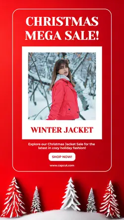 Christmas Mega Sale Promo for Story