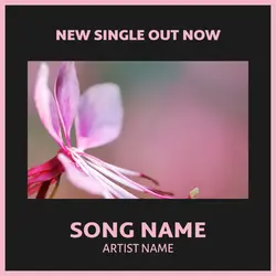 Non marketing Album cover Black pink style