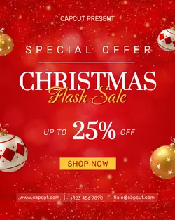 Christmas Special Offer Flash Sale 