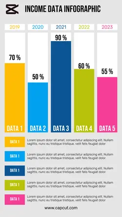 Non-marketing infographic & Income Data Infographi