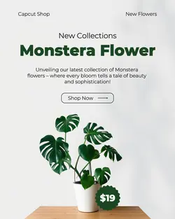Monstera Flower Promotion Instagram Post
