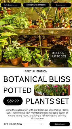 Household Accessories Special Edition Tiktok Post