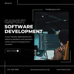 Business Software Development Minimalist