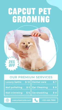 Pet Grooming Services TikTok Post