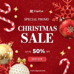 Christmas Special Promo Sale
