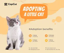 Pets Pet adobt display show Minimalist layout